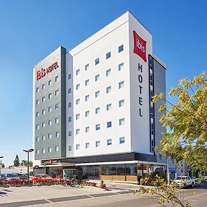 Ibis Los Mochis